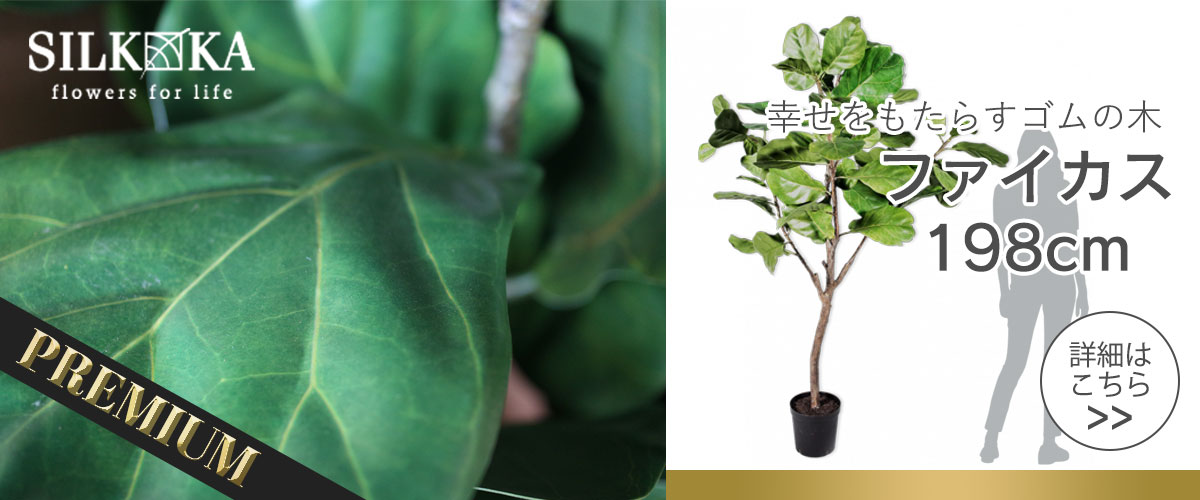 シルカ　フィカス198cm