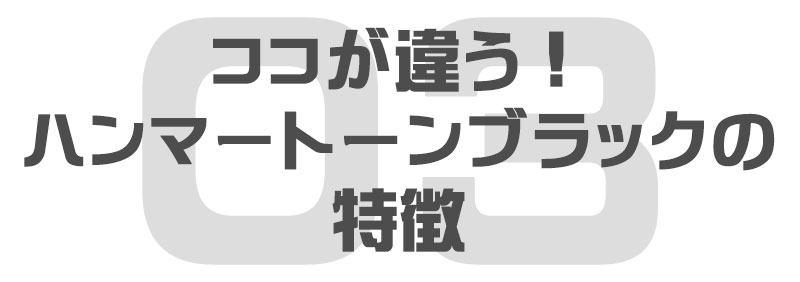 ここが違う！アメリカンフェンス　ハンマートーンブラックの特徴