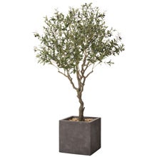 フェイクグリーン