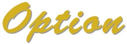 オプション