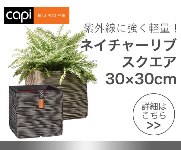 カピ（Capi） ネイチャーリブ スクエア（NatureRib Square） Sサイズ