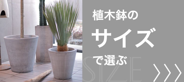 サイズで選ぶ植木鉢