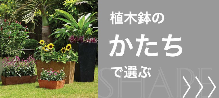 かたちで選ぶ植木鉢