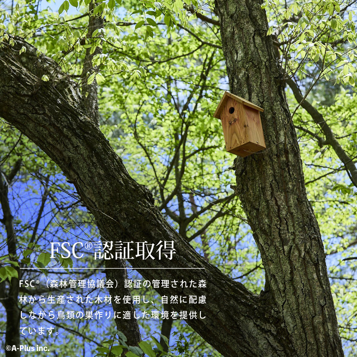 FSC&reg;（森林管理協議会）認証の管理された森林から生産された木材を使用し、自然に配慮しながら鳥類の巣作りに適した環境を提供しています。