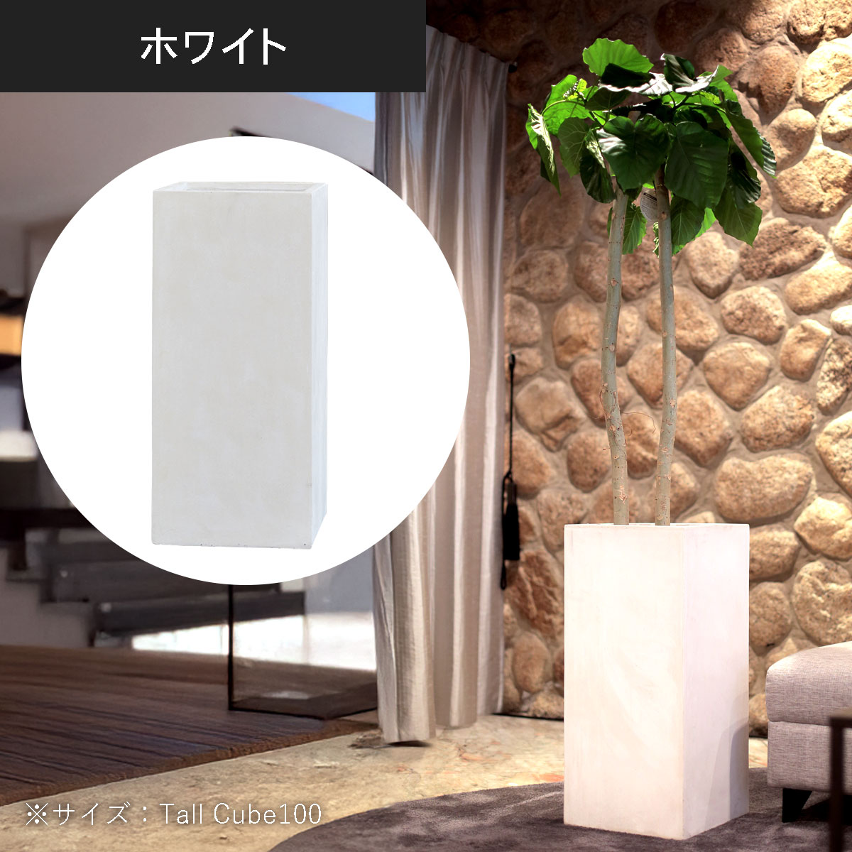 ホワイトのカラー