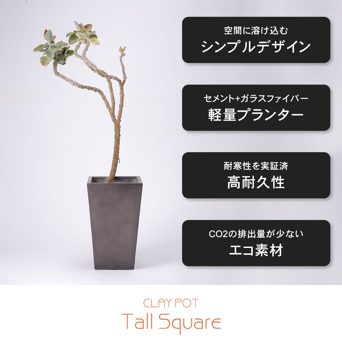 クレイポットの特徴。シンプルデザイン、軽量プランター、高耐久性、エコ素材