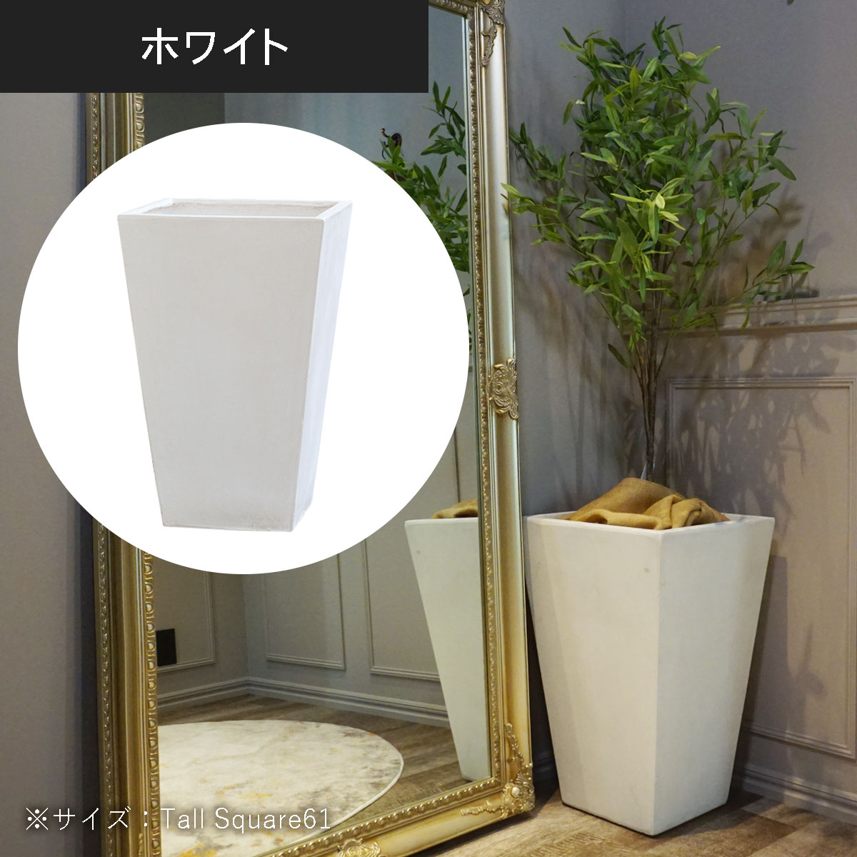 ホワイトのカラー