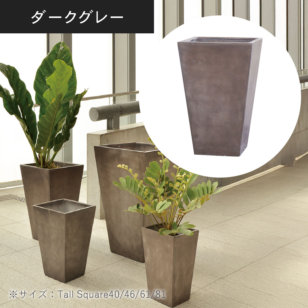 ダークグレーのカラー