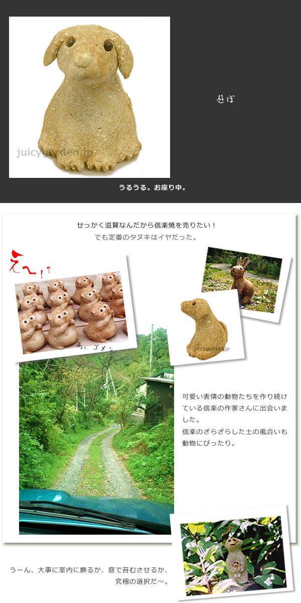 信楽焼：お座り犬」 | 《公式》JUICYGARDEN [ジューシーガーデン]