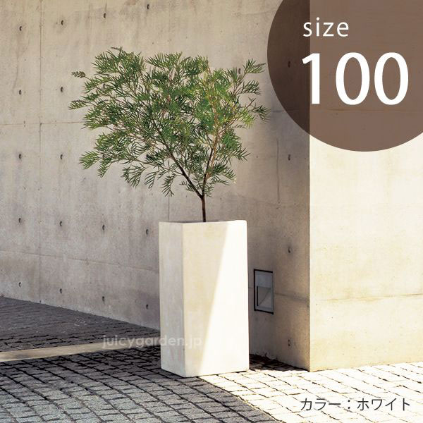 クレイポット　トールキューブ100