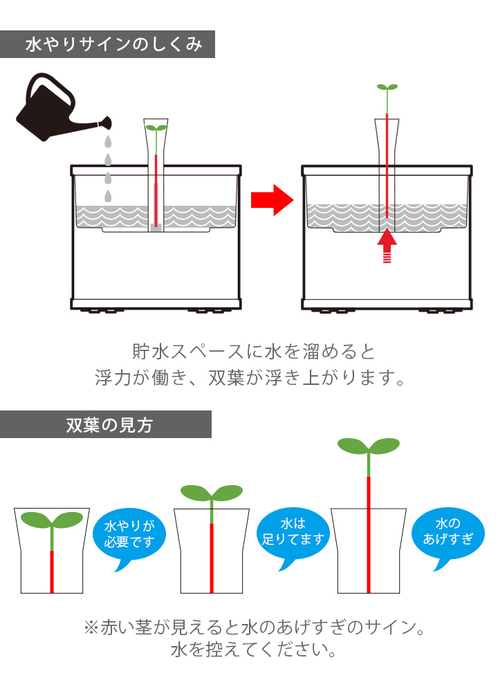 菜園植木鉢「ケター （KETER） セコイアプランター(Sequoia planter) Mサイズ」