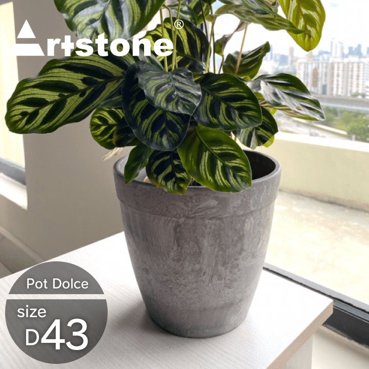 ドルチェポット43