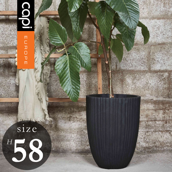 カピ アーバンチューブ ベースエレガント Mサイズ