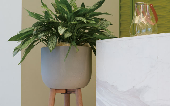 プラニッタナ ウッドレッグポット HI