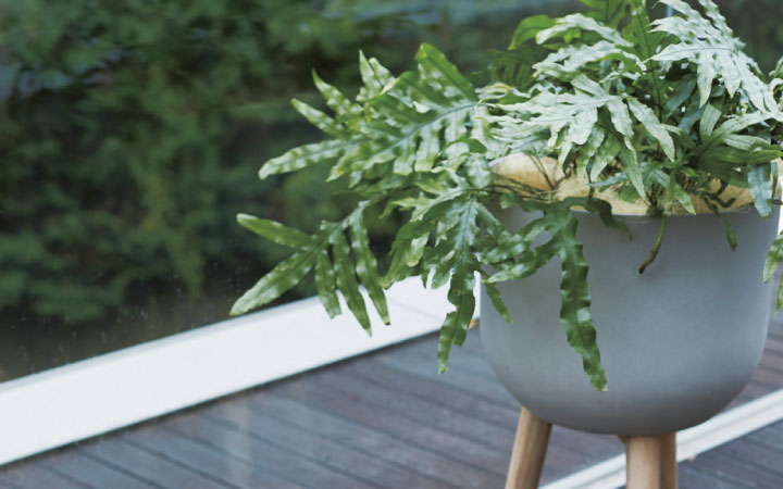 プラニッタナ ウッドレッグポット HI