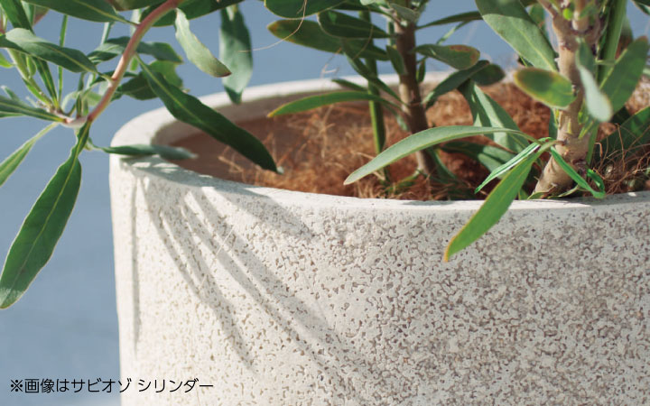 「サビオゾ（SAVIOZO） キューブ」幅45cm 奥行45cm 高さ45cm 容量78L 底穴あり