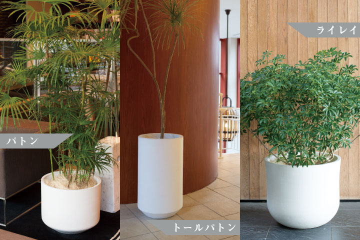 「ポプナニ（POPNANI） パトン M」直径42cm 高さ36.5cm 容量40L