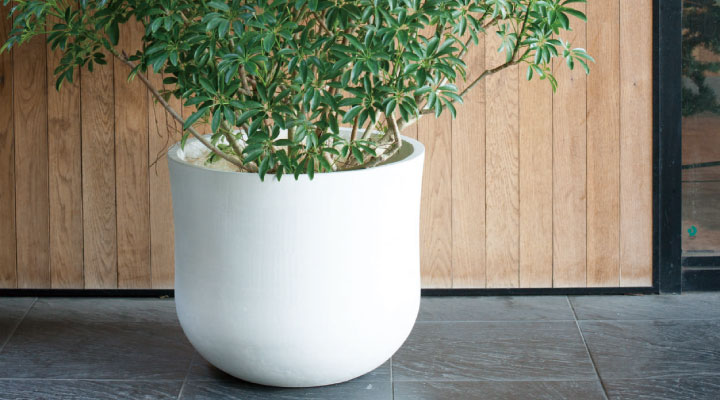 「ポプナニ（POPNANI） ライレイ L」幅00cm 奥行00cm 高さ00cm 容量00L