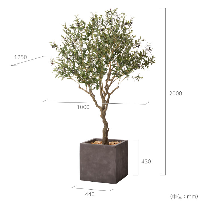 グリーン×プランターセット「w/g オリーブＬ×Cube」[高さ200cm・人工樹木・人工観葉植物]