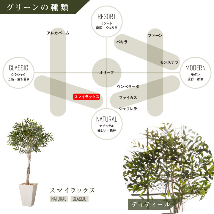 グリーン×プランターセット「w/g スマイラックス×Tall Square」[高さ190cm・人工樹木・人工観葉植物]