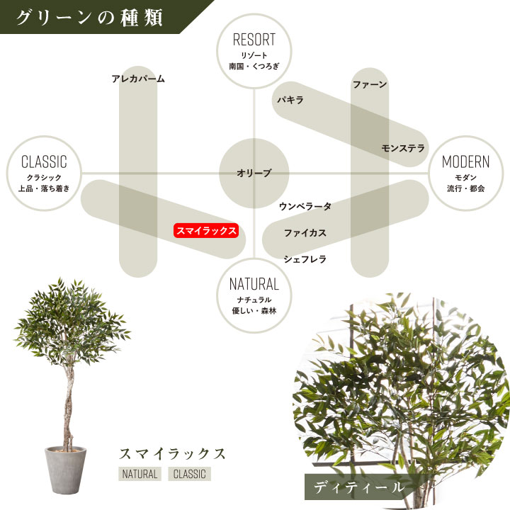 グリーン×プランターセット「w/g スマイラックス×Round」[高さ180cm・人工樹木・人工観葉植物]