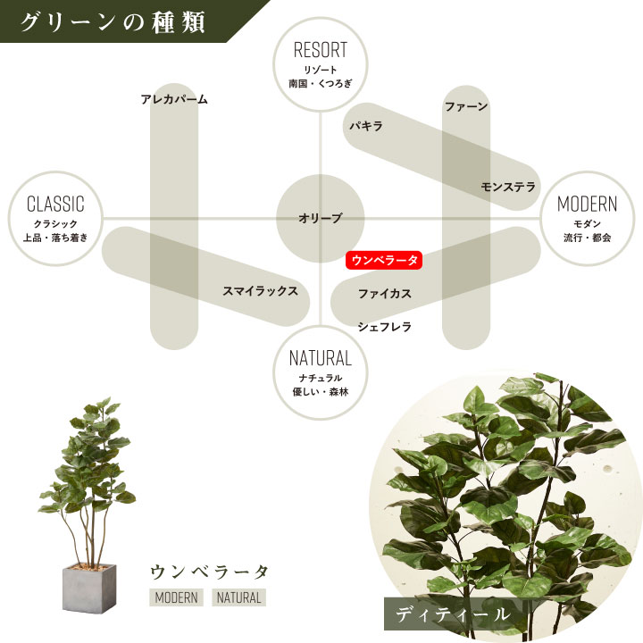 グリーン×プランターセット「w/g ウンベラータ×Cube」[高さ150cm・人工樹木・人工観葉植物]