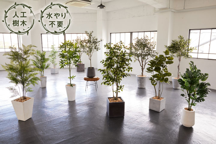 グリーン×プランターセット「w/g ウンベラータ×Tall Square」[高さ175cm・人工樹木・人工観葉植物]