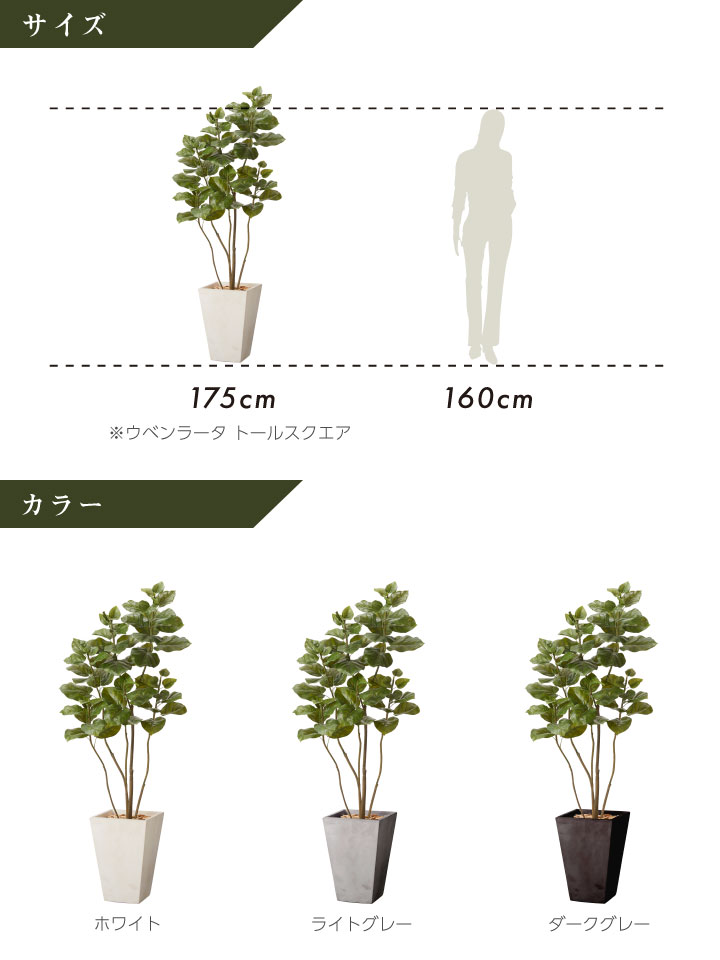 グリーン×プランターセット「w/g ウンベラータ×Tall Square」[高さ175cm・人工樹木・人工観葉植物]