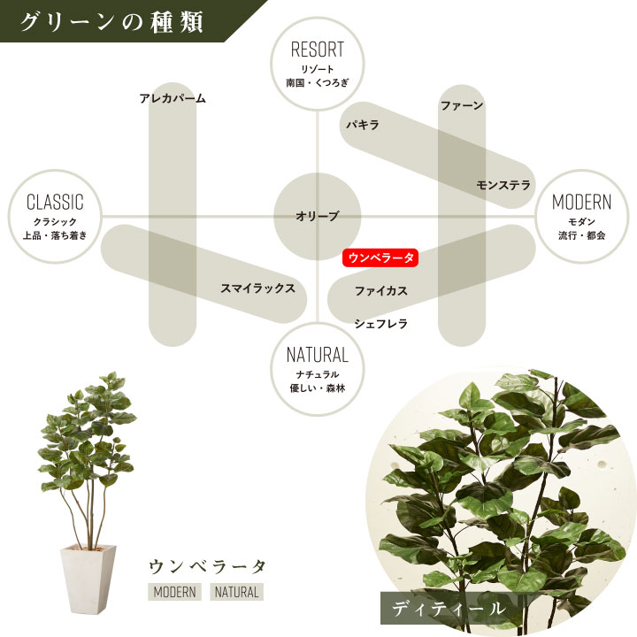 グリーン×プランターセット「w/g ウンベラータ×Tall Square」[高さ175cm・人工樹木・人工観葉植物]