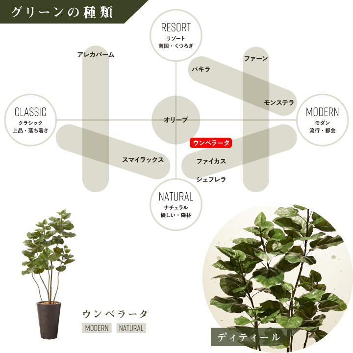 グリーン×プランターセット「w/g ウンベラータ×Tall Round」[高さ170cm・人工樹木・人工観葉植物]
