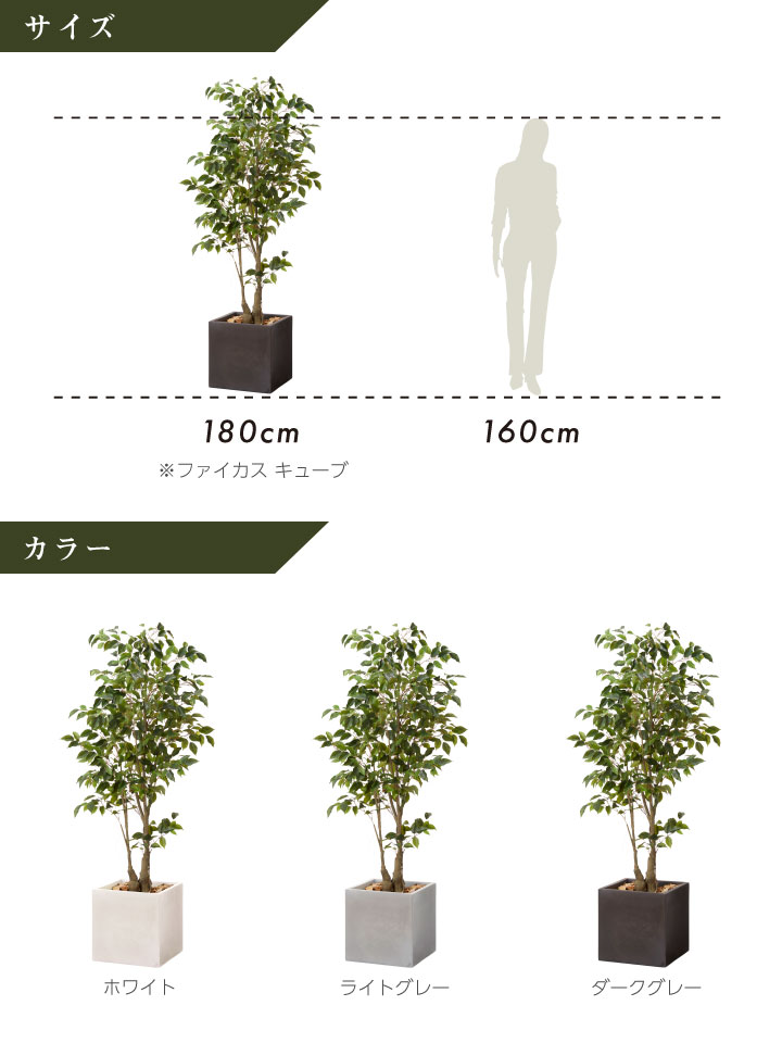 グリーン×プランターセット「w/g ファイカス×Cube」[高さ180cm・人工樹木・人工観葉植物]