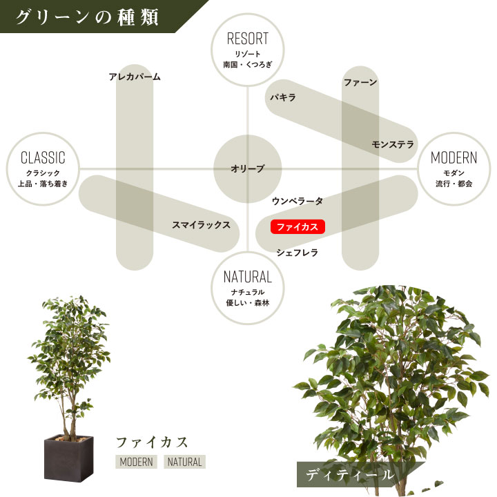 グリーン×プランターセット「w/g ファイカス×Cube」[高さ180cm・人工樹木・人工観葉植物]