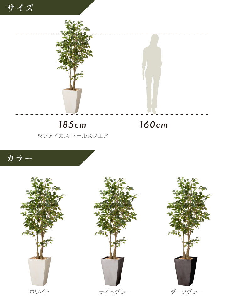 グリーン×プランターセット「w/g ファイカス×Tall Square」[高さ185cm・人工樹木・人工観葉植物]