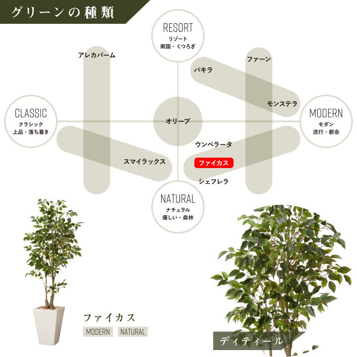 グリーン×プランターセット「w/g ファイカス×Tall Square」[高さ185cm・人工樹木・人工観葉植物]