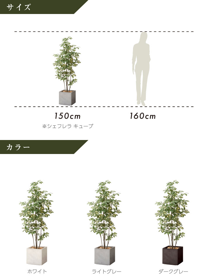 グリーン×プランターセット「w/g シェフレラ×Cube」[高さ150cm・人工樹木・人工観葉植物]