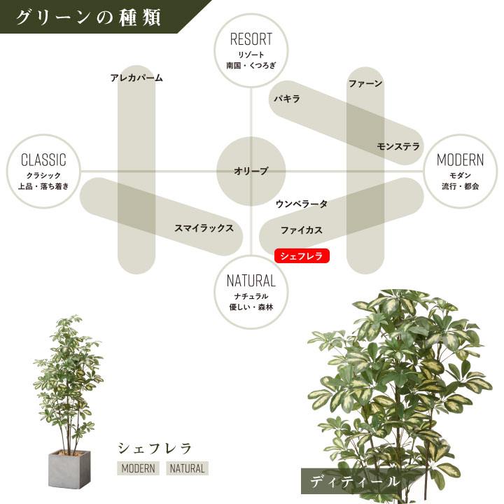 グリーン×プランターセット「w/g シェフレラ×Cube」[高さ150cm・人工樹木・人工観葉植物]