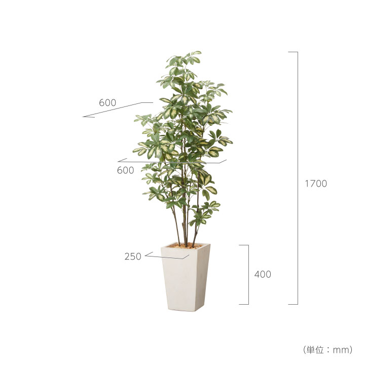 グリーン×プランターセット「w/g シェフレラ×Tall Square」[高さ170cm・人工樹木・人工観葉植物]