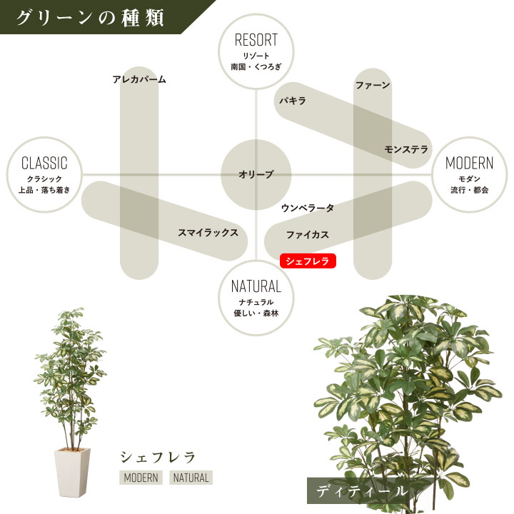 グリーン×プランターセット「w/g シェフレラ×Tall Square」[高さ170cm・人工樹木・人工観葉植物]