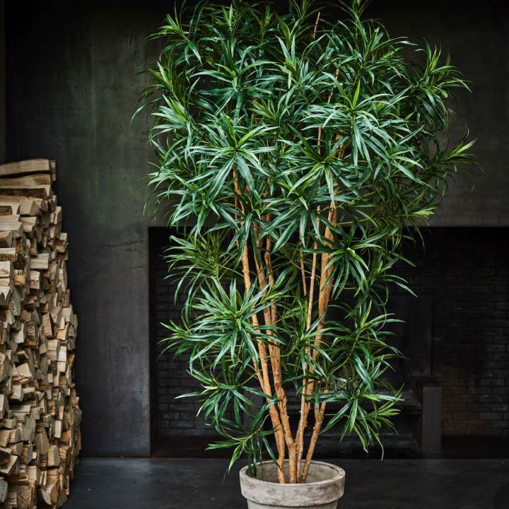 大型 フェイクグリーン「ドラセナ 183cm シルカ（Silk-ka）」おしゃれ リアル 人工観葉植物 樹木 インテリアグリーン 幸福の木