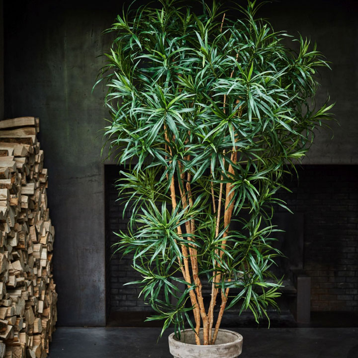 大型 フェイクグリーン「ドラセナ 183cm シルカ（Silk-ka）」おしゃれ リアル 人工観葉植物 樹木 インテリアグリーン 幸福の木