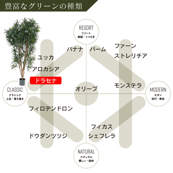 大型 フェイクグリーン「ドラセナ 183cm シルカ（Silk-ka）」おしゃれ リアル 人工観葉植物 樹木 インテリアグリーン 幸福の木