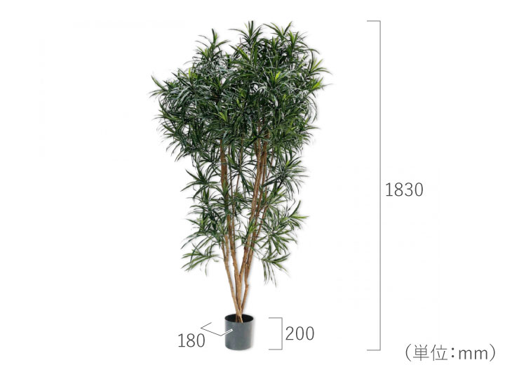 大型 フェイクグリーン「ドラセナ 183cm シルカ（Silk-ka）」おしゃれ リアル 人工観葉植物 樹木 インテリアグリーン 幸福の木