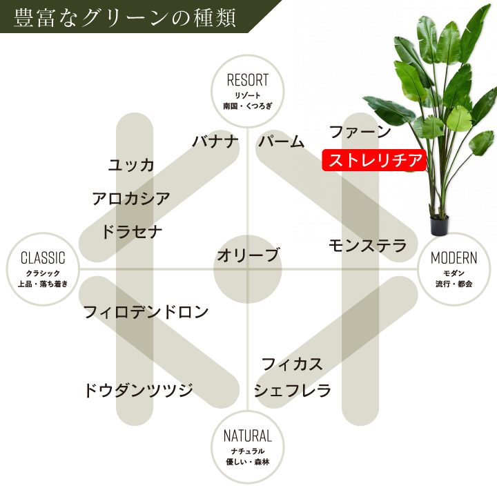 大型 フェイクグリーン「ストレリチア 243cm シルカ（Silk-ka）」おしゃれ リアル 人工観葉植物 草花 インテリアグリーン 極楽鳥花
