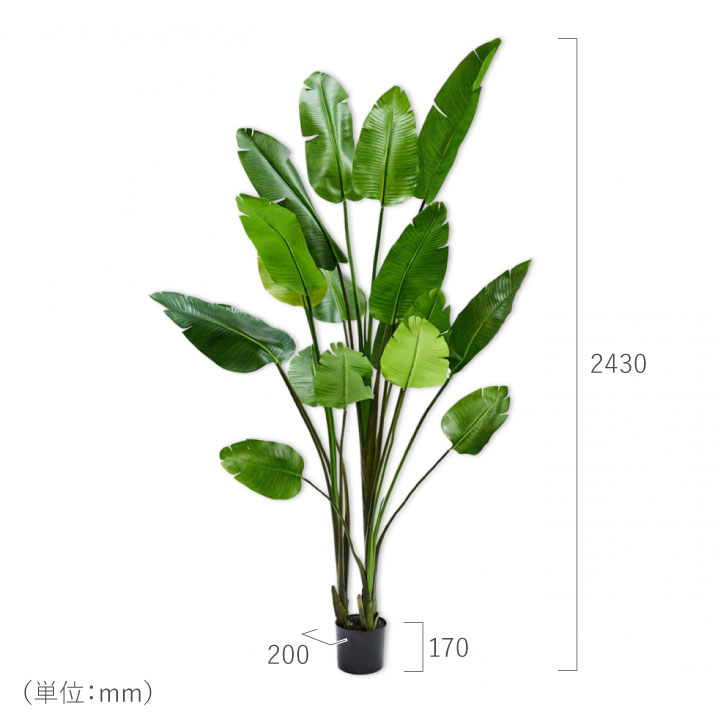 大型 フェイクグリーン「ストレリチア 243cm シルカ（Silk-ka）」おしゃれ リアル 人工観葉植物 草花 インテリアグリーン 極楽鳥花