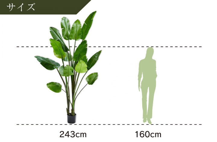 大型 フェイクグリーン「ストレリチア 243cm シルカ（Silk-ka）」おしゃれ リアル 人工観葉植物 草花 インテリアグリーン 極楽鳥花