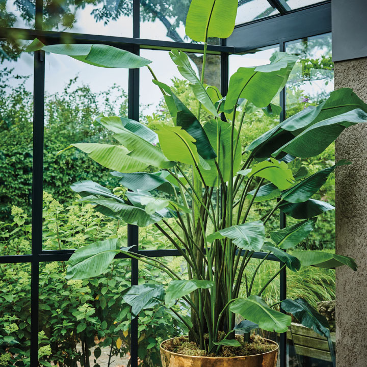 大型 フェイクグリーン「ストレリチア 150cm シルカ（Silk-ka）」おしゃれ リアル 人工観葉植物 草花 インテリアグリーン 極楽鳥花