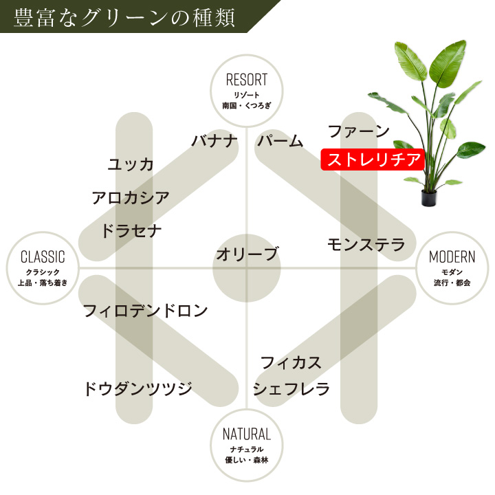 大型 フェイクグリーン「ストレリチア 150cm シルカ（Silk-ka）」おしゃれ リアル 人工観葉植物 草花 インテリアグリーン 極楽鳥花