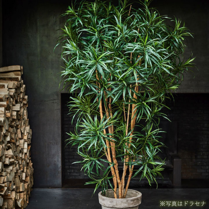 大型 フェイクグリーン「ユッカ 155cm シルカ（Silk-ka）」おしゃれ リアル 人工観葉植物 樹木 インテリアグリーン 青年の木