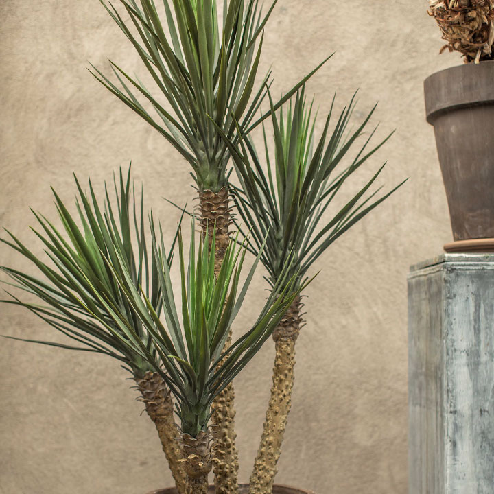 大型 フェイクグリーン「ユッカ 155cm シルカ（Silk-ka）」おしゃれ リアル 人工観葉植物 樹木 インテリアグリーン 青年の木