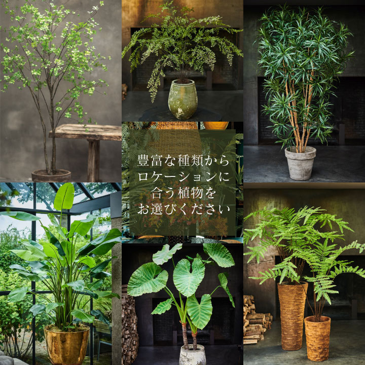 大型 フェイクグリーン「ユッカ 155cm シルカ（Silk-ka）」おしゃれ リアル 人工観葉植物 樹木 インテリアグリーン 青年の木